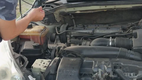 Mechanic checking engine oil level under the hood Stock Footage 338408777