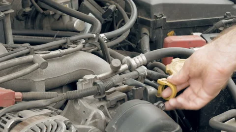 Mechanic checks the car motor engine oil level Stock Footage 63623694
