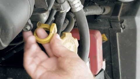 Mechanic checks the car motor engine oil level Stock Footage 91179121