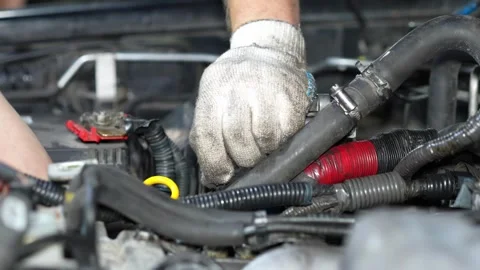 Mechanic Inspecting Engine Cooling Hose in Auto Workshop Stock Footage 346339388