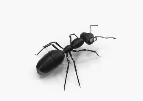 Mechanical Ant Stock Illustration