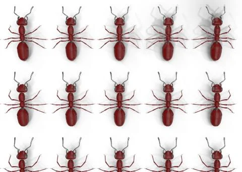 Mechanical Ant Stock Illustration