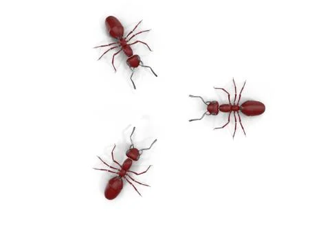 Mechanical Ant Stock Illustration
