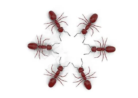Mechanical Ant Stock Illustration