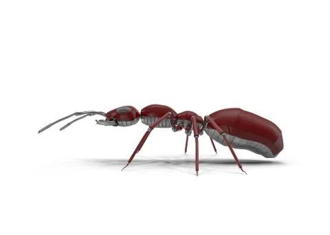 Mechanical Ant Stock Illustration