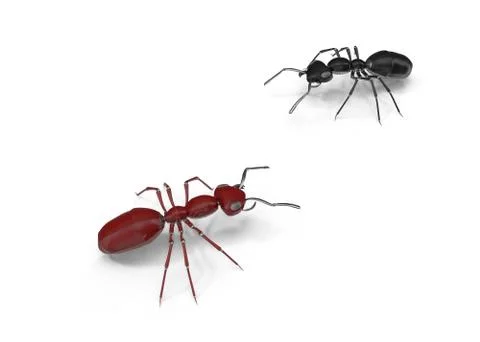 Mechanical Ant Stock Illustration