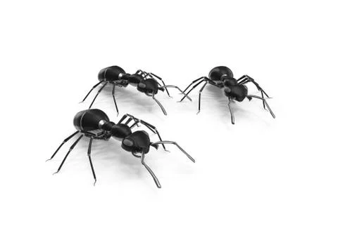 Mechanical Ant Stock Illustration