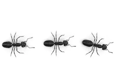 Mechanical Ant Stock Illustration