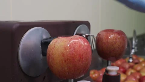 Mechanical apple peeler coring and slicing fresh red apple for homemade pie prep Stock Footage 337751352