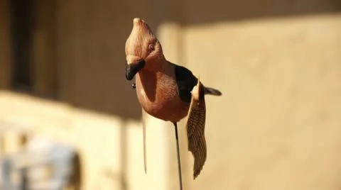Mechanical bird wind mobile close-up Stock Footage 20495084