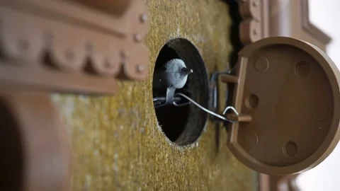 Mechanical Cuckoo Clock Strikes Time. Stock Footage 150126382