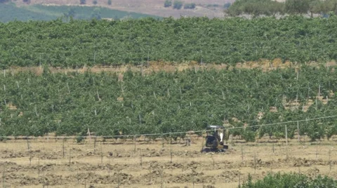 Mechanical Digger Working in Mediterranean Vineyard 4K Stock Footage 41883130