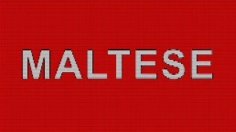 On the mechanical display text MALTESE comes and goes. Transparent alpha channel Stock Footage