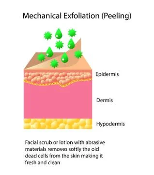 Mechanical exfoliation or peeling, vector illustration on light background Stock Illustration
