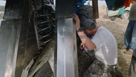 Mechanical grape harvest with harvester machine in Poligny, Jura, France 库存影片 343481720
