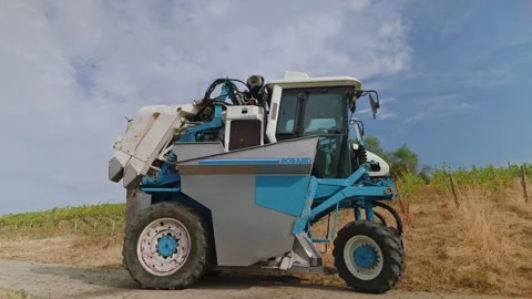 Mechanical grape harvest with harvester machine in Poligny, Jura, France 库存影片 343481760