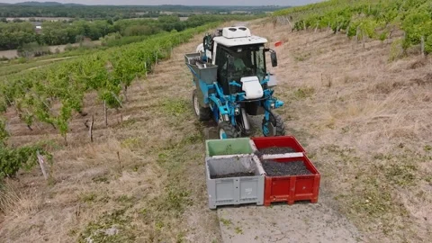Mechanical grape harvest with harvester machine in Poligny, Jura, France 動画素材 343481836