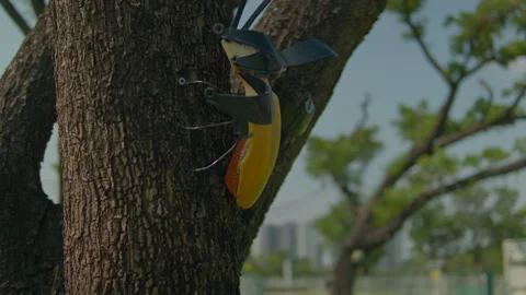 Mechanical Insect Sculpture on Tree Trunk - Cinematic Motion Vídeos de archivo 332275012