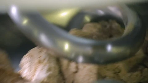 Mechanical kneading  Vidéo 89576475