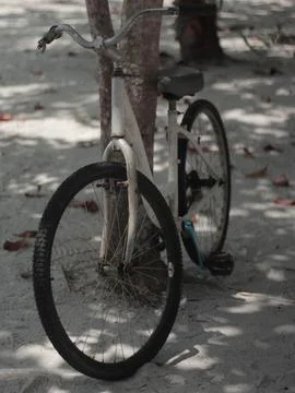 Mechanical Marvel: Close-up of Bicycle Componen Stock Photos