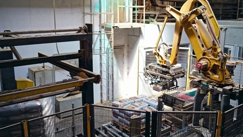 Mechanical robot with artificial intelligence sorts bags on the conveyor. Stock Footage 119153421