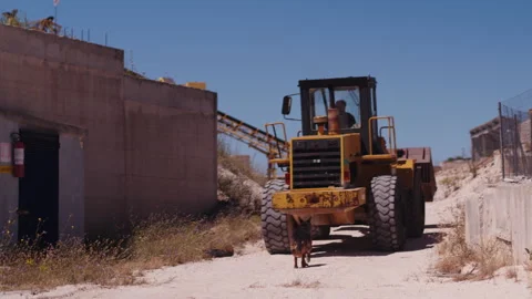 Mechanical shovel driven in a construction materials pit and a dog follows it Stock Footage 141861186