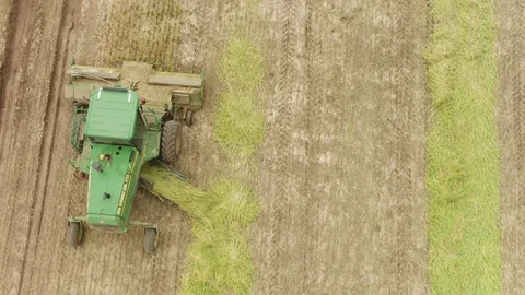 Mechanical Spring Wheat Harvest Stock Footage 128668935