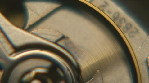 Mechanical Watch Internals Mechanisms Macro Footage Vidéo 118082