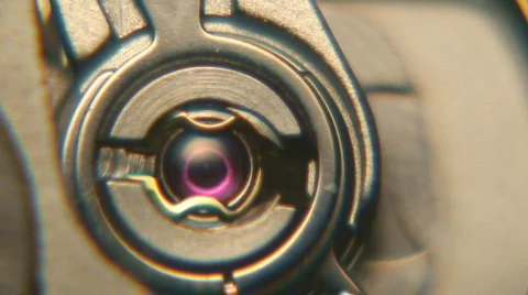 Mechanical Watch Internals Mechanisms Macro Footage Vídeo Stock 118091
