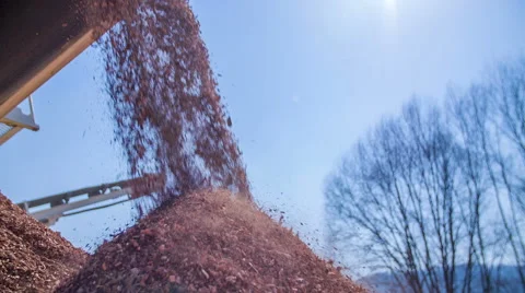 Mechanical wood processing Stock Footage 53433520