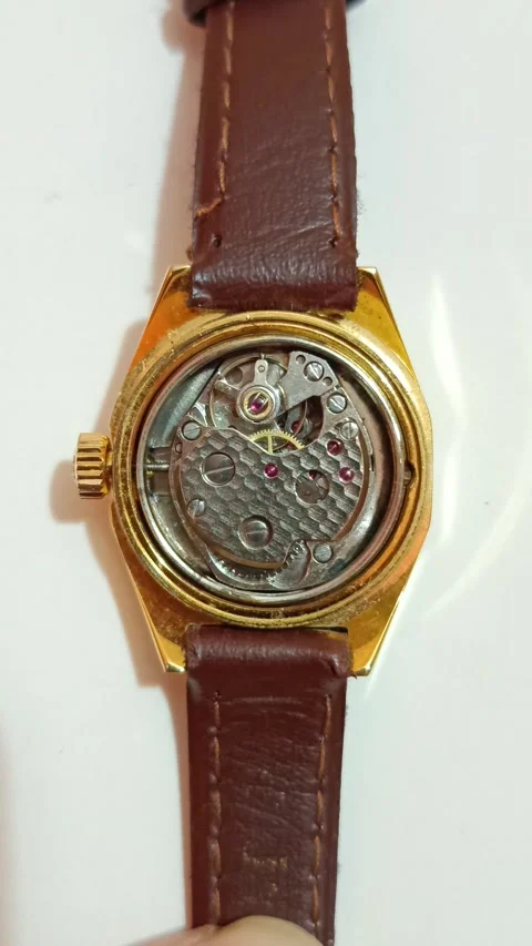 Mechanical wristwatch Stock Footage 323574605
