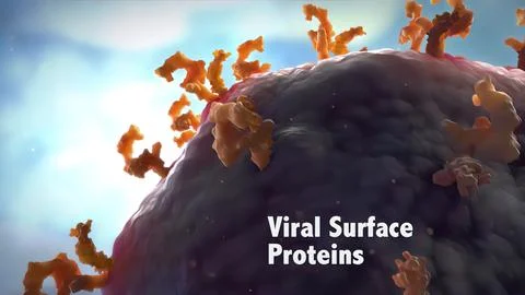 Mechanism for Nuclear Entry of the Cell Surface Receptor 스톡 일러스트