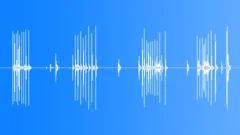 Mechanism winding up Sound Effect