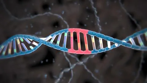 Mechanisms that induce or suppress the expression of a gene Stock Illustration