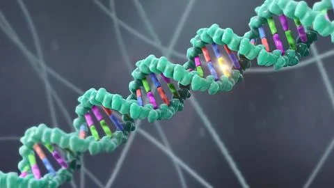 Mechanisms that induce or suppress the expression of a gene Stockillustratie