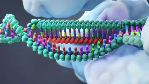 Mechanisms that induce or suppress the expression of a gene Stock Illustration