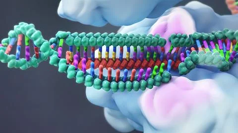 Mechanisms that induce or suppress the expression of a gene Stock Illustration