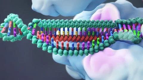 Mechanisms that induce or suppress the expression of a gene Stock Illustration