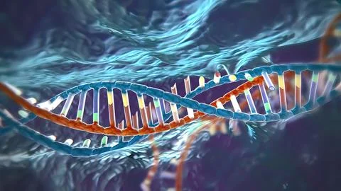 Mechanisms that induce or suppress the expression of a gene Stock Illustration