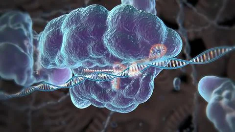 Mechanisms that induce or suppress the expression of a gene Stock Illustration
