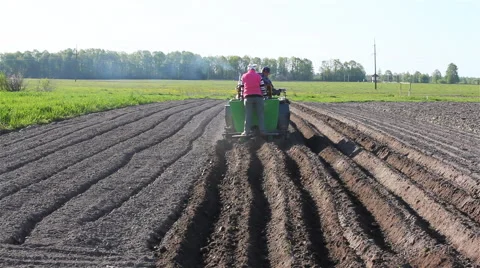 Mechanization of planting potatoes Stock Footage 58891566