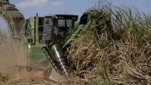 Mechanized harvesting Stock Footage 116440055