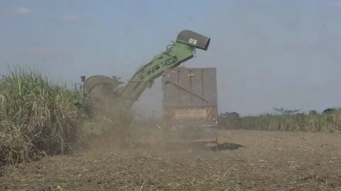 Mechanized harvesting Stock Footage 116440060