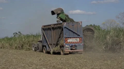 Mechanized harvesting Stock Footage 116440064