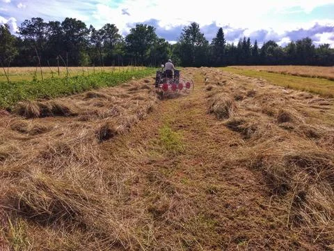 Mechanized Hay Drying in the Field Stock Photos