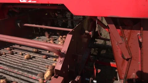 A mechanized method of harvesting potatoes in the village Video stock 321829050