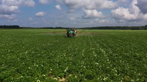 Mechanized process of watering and spraying potatoes from pests, drone view Stock Footage 245440827