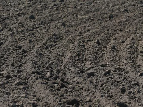 Mechanized tillage. Stock Photos