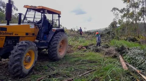 MECHANIZED VEGETAL SUPPRESSION Stock Photos