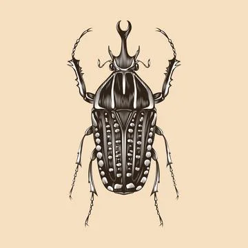 Mecynorhina Polyphemus illustration vector flat design Stock Illustration